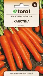 marchew-marchewka-jadalna-karotina-wczesna-nasiona-5g-toraf-117