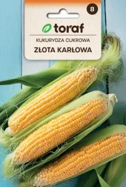 kukurydza-cukrowa-zlota-karlowa-nasiona-20g-toraf-109