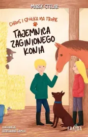 chaos-i-spolka-na-tropie-tajemnica-zaginionego