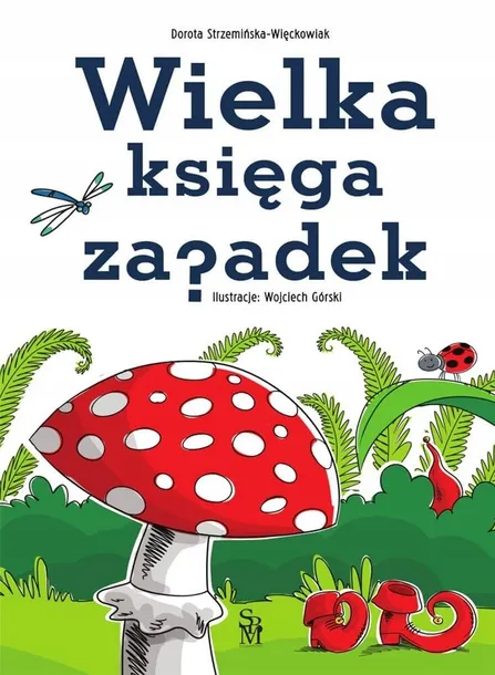 wielka-ksiega-zagadek