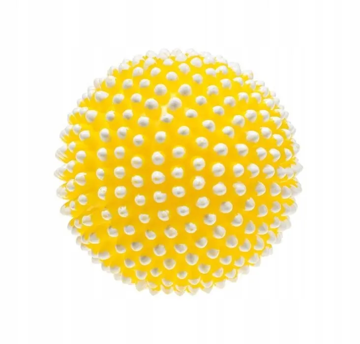pilka-jez-dla-psa-81cm-mix