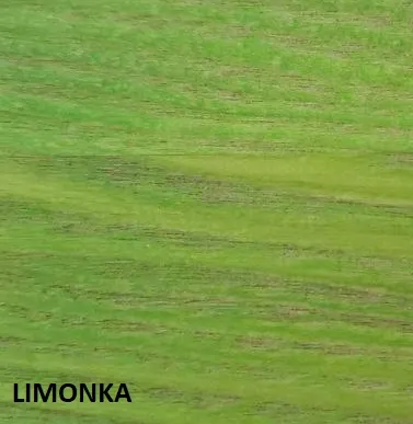 bejca-wodna-do-drewna-bartek-200ml-limonka