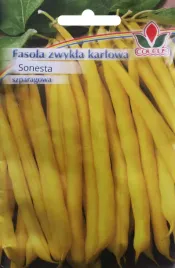 fasola-szparagowa-zolta-karlowa-sonesta-50-g-nasiona-coleus