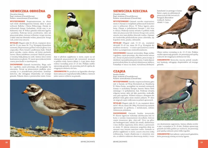 atlas-ptakow-jan-krol-wydawnictwo-wydawnictwo-sbm