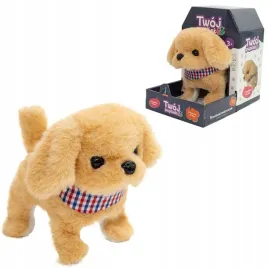 twoj-pupilek-piessek