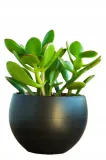oslonka-do-kwiatow-16-cm-grafit