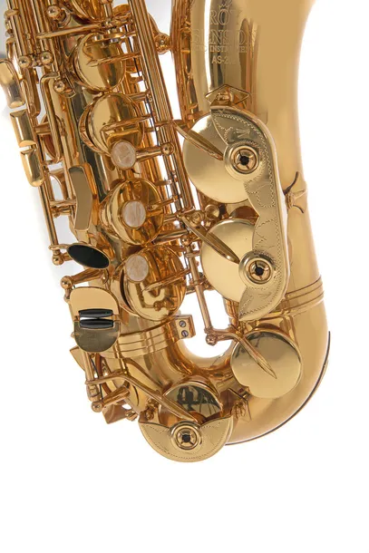 saksofon-altowy-eb-roy-benson-as-202-kod-producenta-4046663024904-marka-roy-benson