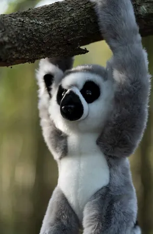 pluszowy-lemur-na-rzepy-marka-tobar