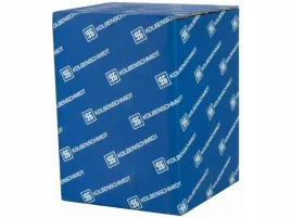 tlok-kolbenschmidt-40383600