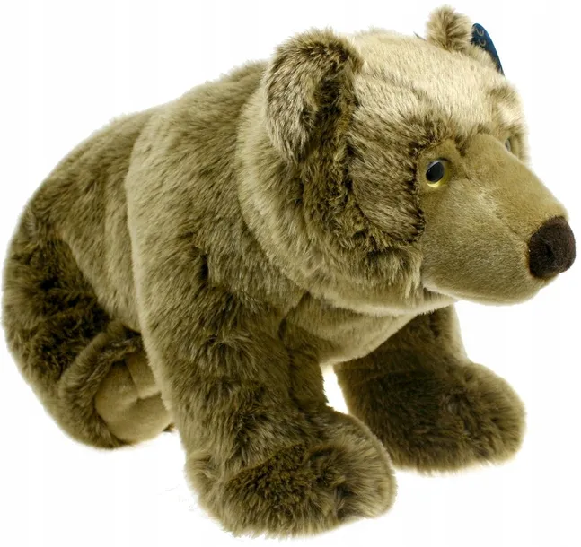 niedzwiadek-24cm-dubi-wiek-dziecka-0