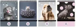 kolonotes-a6-96k-kratka-na-gumke-the-sweet-pets