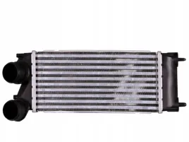 intercooler-1-6-hdi-peugeot-5008-i-308-1
