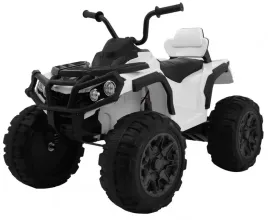 nd28-13305-pa-bdm0906-2-4ghz-bia-pojazd-quad-atv