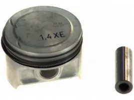 tlok-mahle-011-02-00