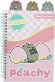 notes-ze-znacznikami-pusheen