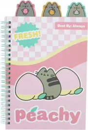 notes-ze-znacznikami-pusheen
