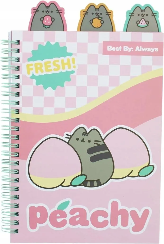 notes-ze-znacznikami-pusheen