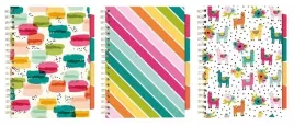 project-book-colour-wash-b5-100k-linia-mix-3szt