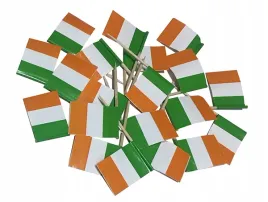 wykalaczki-z-flaga-irlandii-irlandia-50-sztuk-irlandzkie-irland