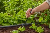 gardena-micro-drip-system-rurka-przedluzajaca-13326-20-kod-producenta-970630301
