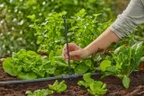 gardena-micro-drip-system-rurka-przedluzajaca-13326-20-marka-gardena
