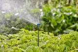 gardena-micro-drip-system-rurka-przedluzajaca-13326-20-stan-nowy-marka-gardena