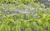 gardena-micro-drip-system-rurka-przedluzajaca-13326-20-stan-nowy-zawiera-baterie-nie