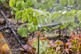 gardena-micro-drip-system-rurka-przedluzajaca-13326-20-stan-opakowania-oryginalne-stan-nowy