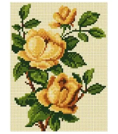 kanwa-zolte-roze-15x20cm-2011