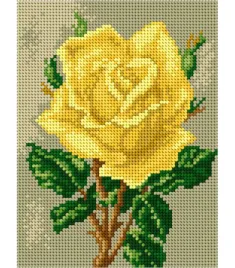 kanwa-roza-zolta-15x20cm-2021