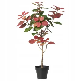 ikea-fejka-sztuczna-roslina-w-doniczce-perukowiec-podolski-66-cm