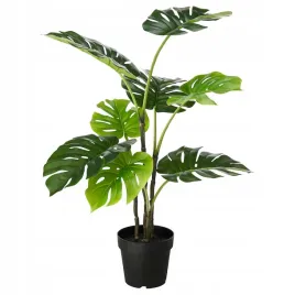 ikea-fejka-wielka-sztuczna-przepiekna-duza-monstera-jak-zywa