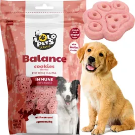 ciastka-treserki-przysmak-dla-psa-wzmacniajacy-odpornosc-lolo-pets-350g