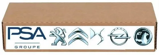 pompa-paliwa-citroen-c4-13-febi-bilstein-f175732-waga-z-opakowaniem-5-kg