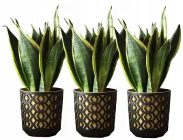 zestaw-3-doniczek-aztek-sr-195cm-czarny-zloty-lamela