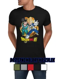 koszulka-meska-prezent-anime-dragon-ball-postacie-duzy-wybor-3xl