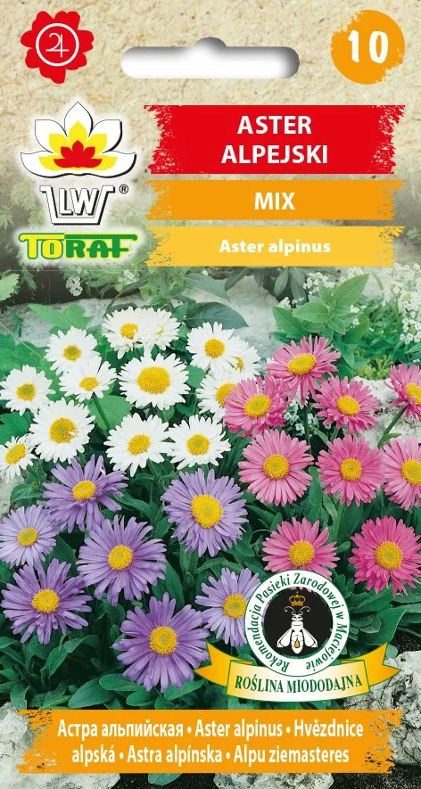 aster-alpejski-mix-nasiona-05-g
