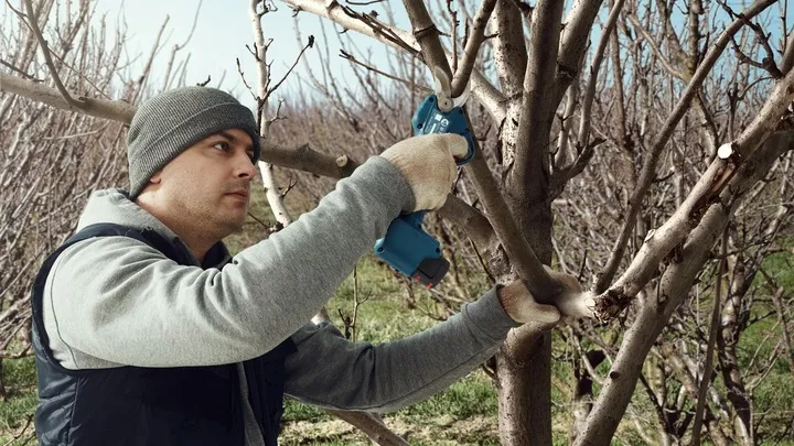 akumulatorowy-sekator-pro-pruner-bosch-korpus-stan-opakowania-oryginalne