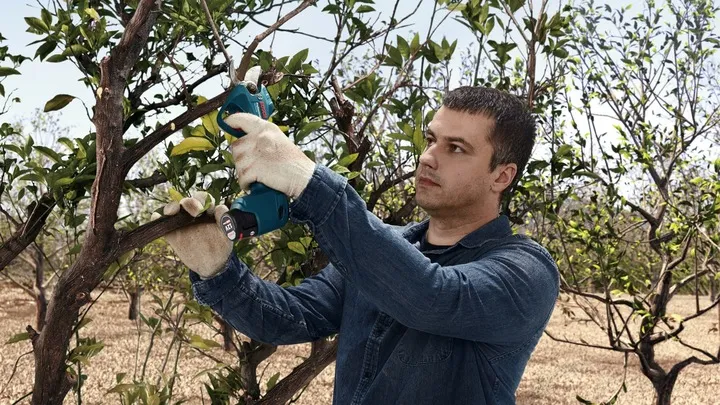 akumulatorowy-sekator-pro-pruner-bosch-korpus-stan-nowy-marka-bosch