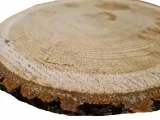 plaster-drewna-dab-fi-18-22-cm-liczba-sztuk-1-szt
