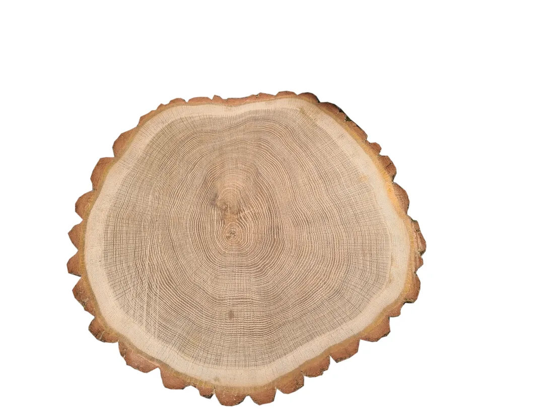 plaster-drewna-debowy-20-25cm-stan-nowy