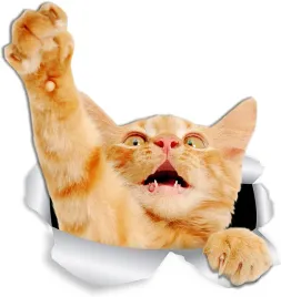 naklejka-winston-and-bear-25cm-kot-na-sciane-x2