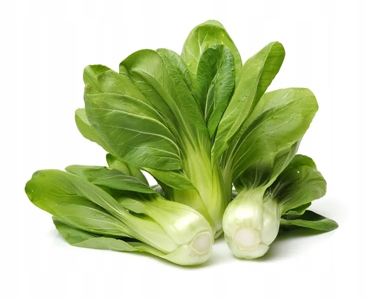 kapusta-chinska-pak-choi-1g-toraf-97-styl-ogrod-skalny-ogrod-japonski-ogrod-wiejski-ogrod-nowoczesny-ogrod-srodziemnomorski