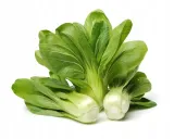 kapusta-chinska-pak-choi-1g-toraf-97-styl-ogrod-skalny-ogrod-japonski-ogrod-wiejski-ogrod-nowoczesny-ogrod-srodziemnomorski