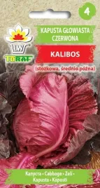 kapusta-glowiasta-czerwona-kalibos-stozkowa-nasiona-2g-toraf-95