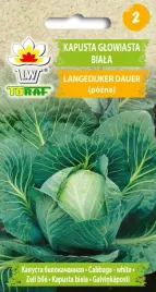 kapusta-glowiasta-langedijker-dauer-nasiona-2g-toraf-91