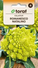 kalafior-romanesco-natalino-nasiona-1g-toraf-84