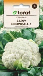 kalafior-early-snowball-x-nasiona-1g-toraf-83