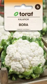 kalafior-bora-nasiona-1g-toraf-82