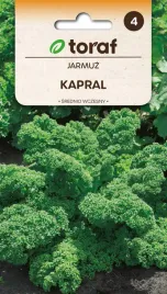 jarmuz-kapral-zielony-nasiona-1g-toraf-77